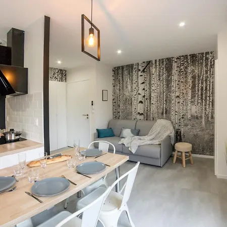 Appart-hotel N 4 Calme Avec Terrasse, Wi-fi Debit, Petit-dejeuner, Room-service Et Parking Prive Chouzelot